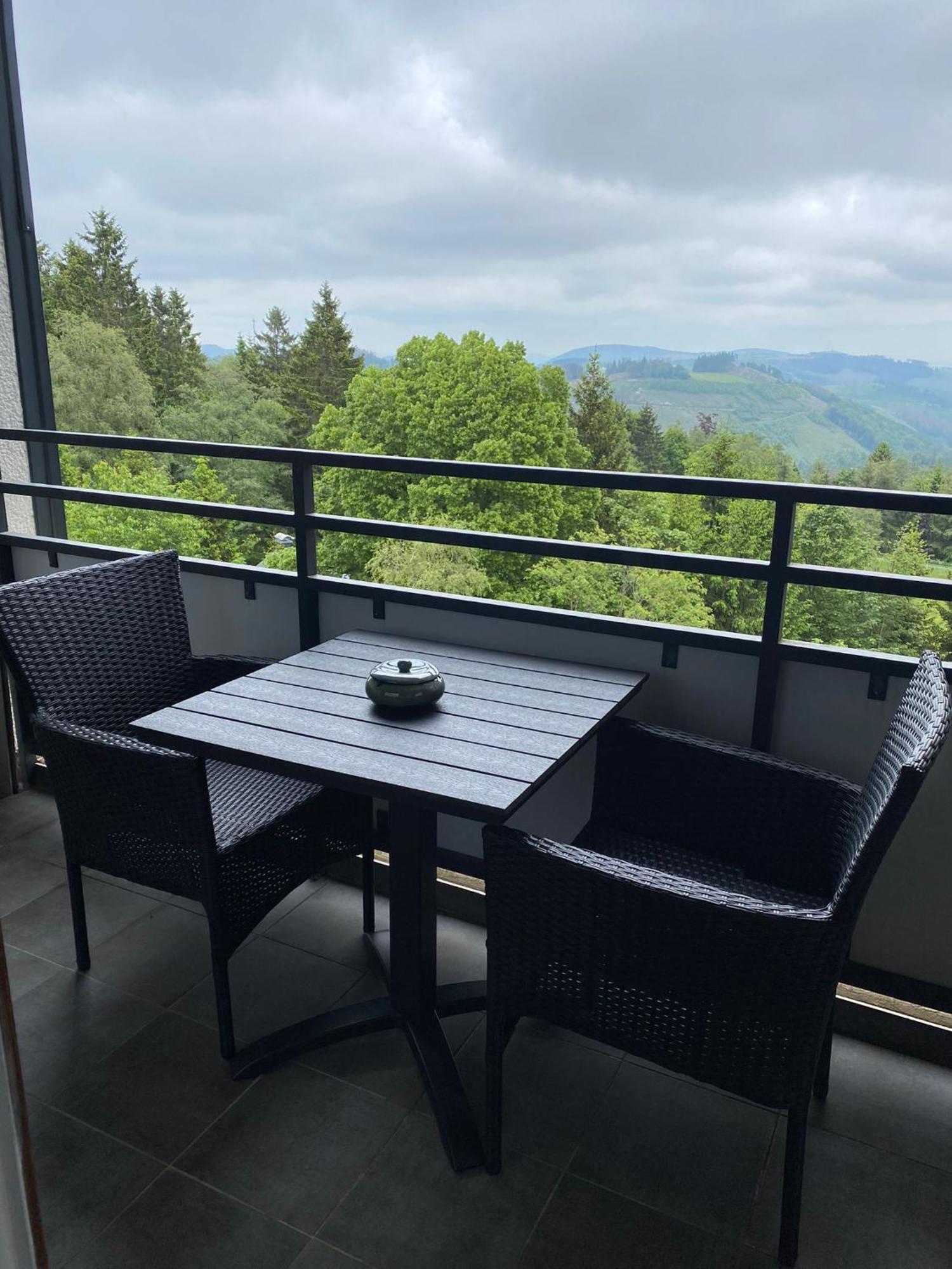 Apartment Bergluft Winterberg Am Bikepark, Skilift, Ssc Ngoại thất bức ảnh