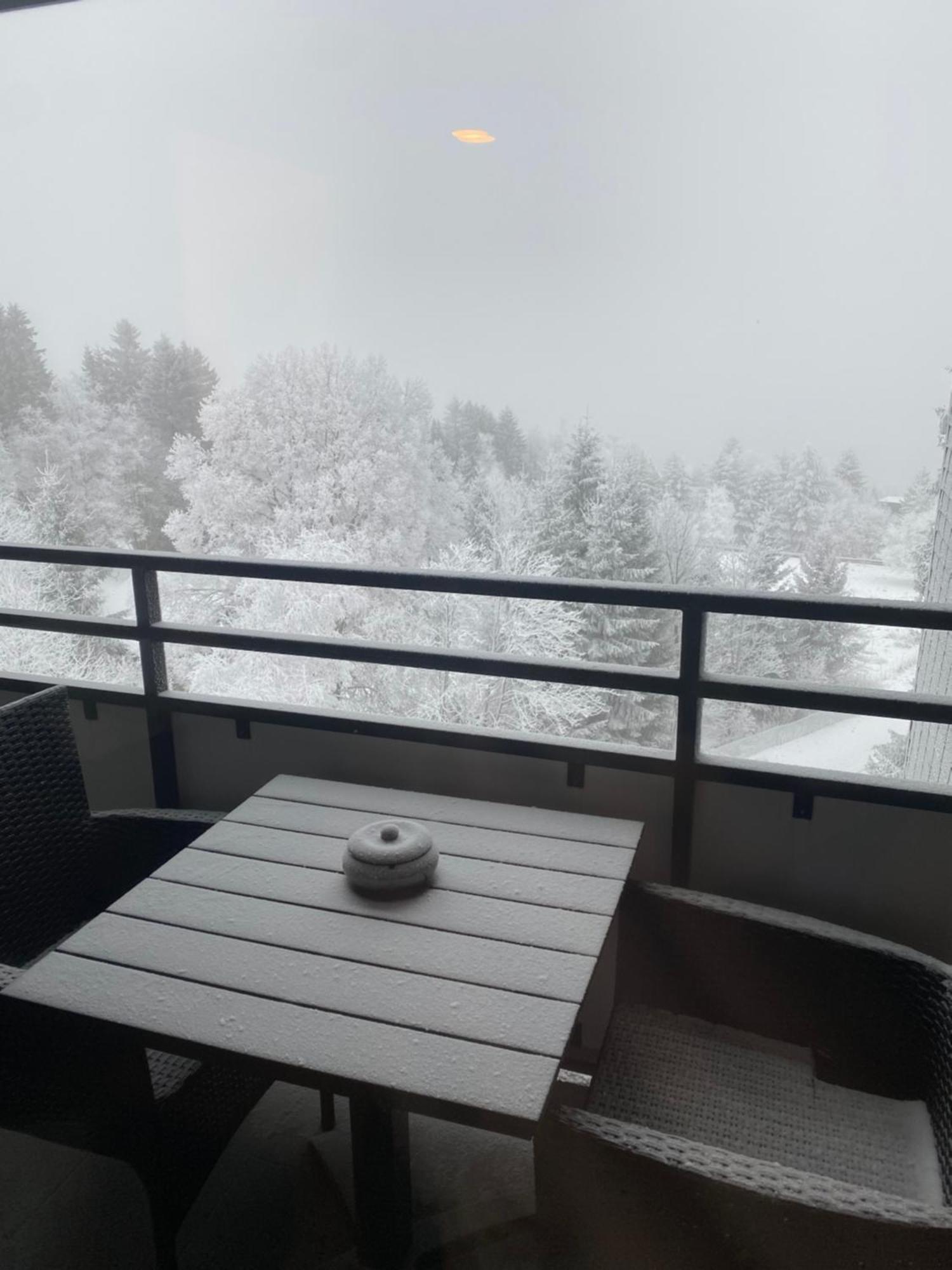 Apartment Bergluft Winterberg Am Bikepark, Skilift, Ssc Ngoại thất bức ảnh